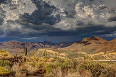 Desert with cactus and mountains underneath a cloudy sky in Tucson