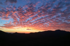 Tucson desert sunset