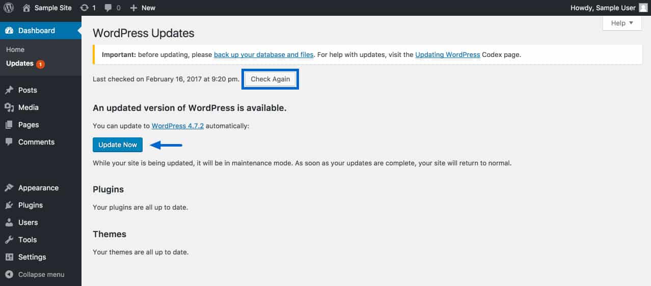 WordPress update page with update now button